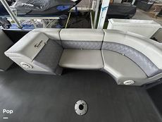 2022 Massimo Marine P23