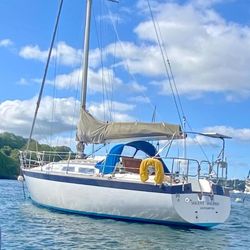 Well maintained Dolphin 31 & Highly Desirable Mylor Swing Mooring