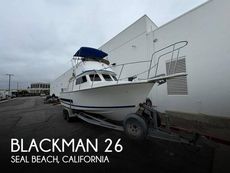 2003 Blackman 26 Billfisher