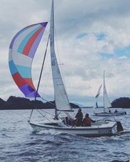 Hawk 20 Sail No. 545