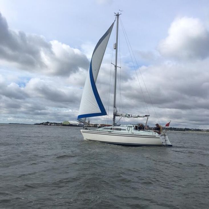 Stag 28