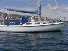 Achilles 24 sailing cruiser