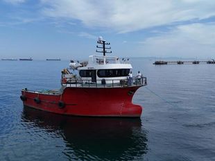 19m Workboat
