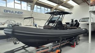 2025 Brig Eagle 8