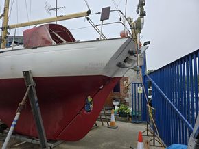 Rustler 31  - Stern