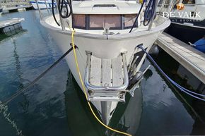 Picture 5