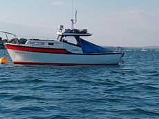 Tamar 2000 Enterprise