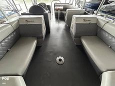 2022 Massimo Marine P23