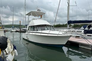 1978 Bertram 33 Flybridge Cruiser