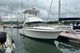 1978 Bertram 33 Flybridge Cruiser