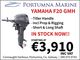 Yamaha Outboard F20 GMHS/L