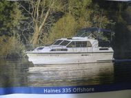Haines 335