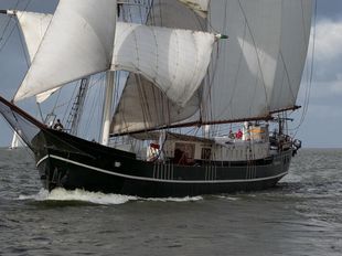 Barquentine sailing charter 