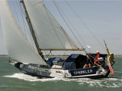 Rustler 31