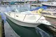 2007 Bayliner 2052 Trophy