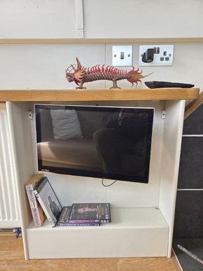 12v TV / DVD