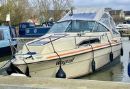 Searay Sundancer 245