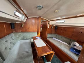 Sadler 32  - Saloon