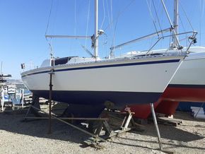 Ashore