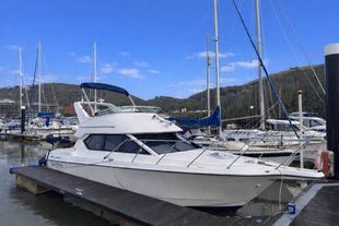 2006 Bayliner 288 Classic