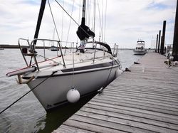 1979 Maxi 84
