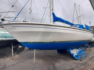 1981 Westerly Discus