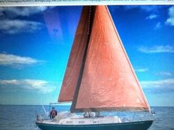 Twister 28 for sale
