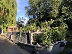 Dutch barge De Vrouwe Cornelia