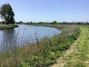 Footpath
