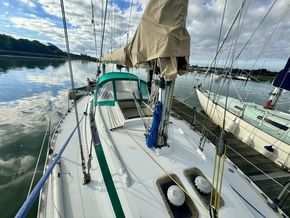 IMG 9931
