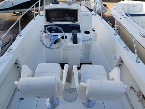 Boston Whaler 21 Outrage  - Helm