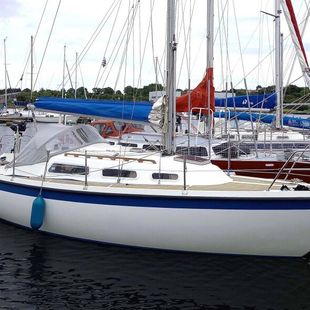 1999 Hurley 800 Comfort