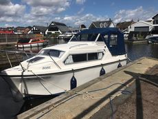 Dolphin 21