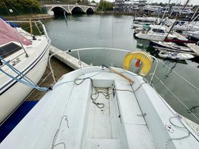 IMG 4681