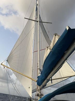 Goose winged twin headsails