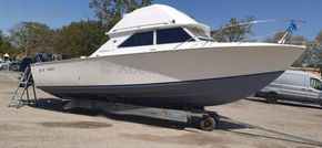 BERTRAM 28
