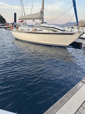 Back in the water