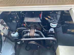 Sea Ray 240 Sundancer  - Engine