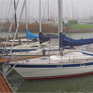 HALLBERG-RASSY 352