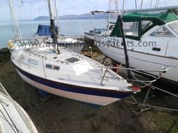 Colvic Countess 28