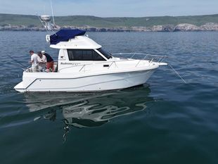 2010 Rodman 870