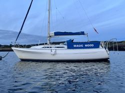 Magic Mood - Moody 333 For Sale