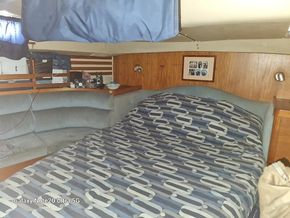 Aft Cabin