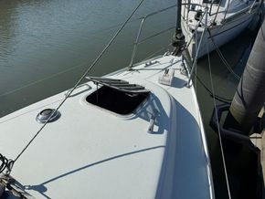 Hunter Pilot 27  - Foredeck