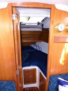 CATALINA 320