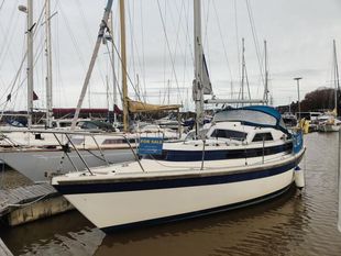 1985 Newbridge Pioneer