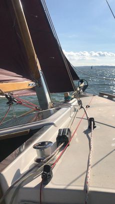Cape Cutter 19