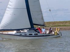 Shipman 28