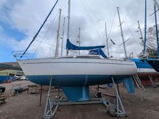 Leisure 29