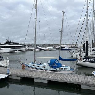 Seadog Sailing Yachts for sale UK, used Seadog Sailing Yachts, new ...